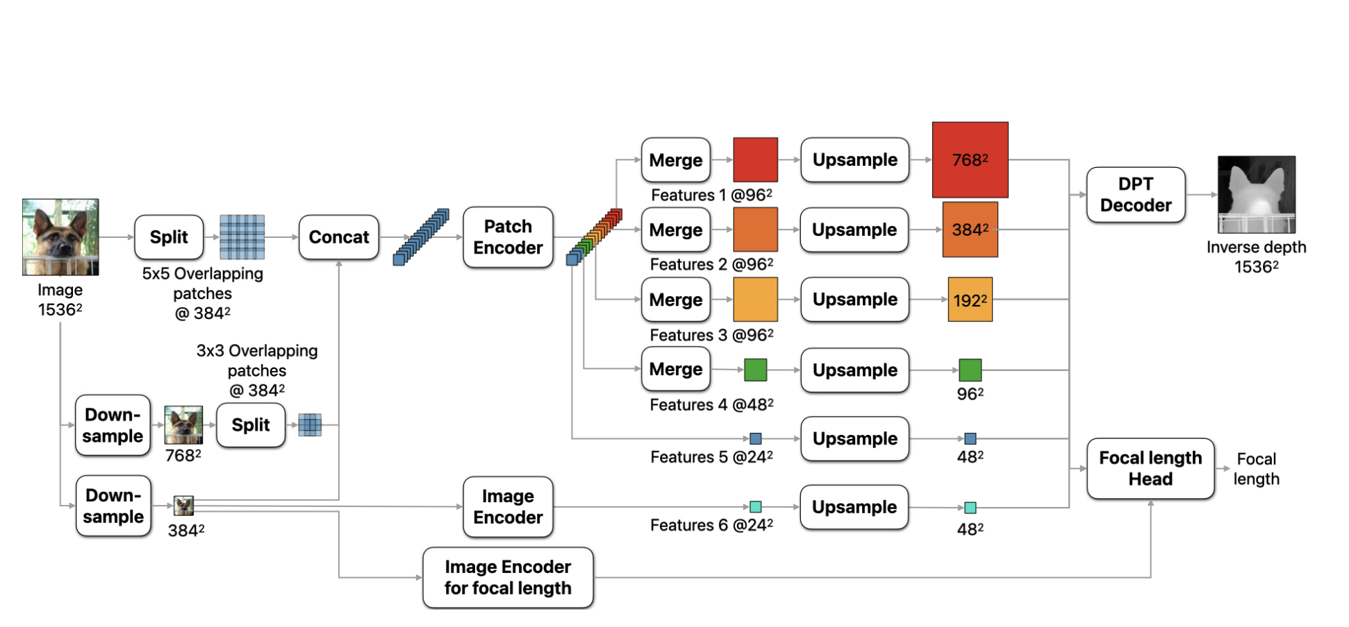 Diagram of DepthPro's multi-scale encoder and fusion architecture