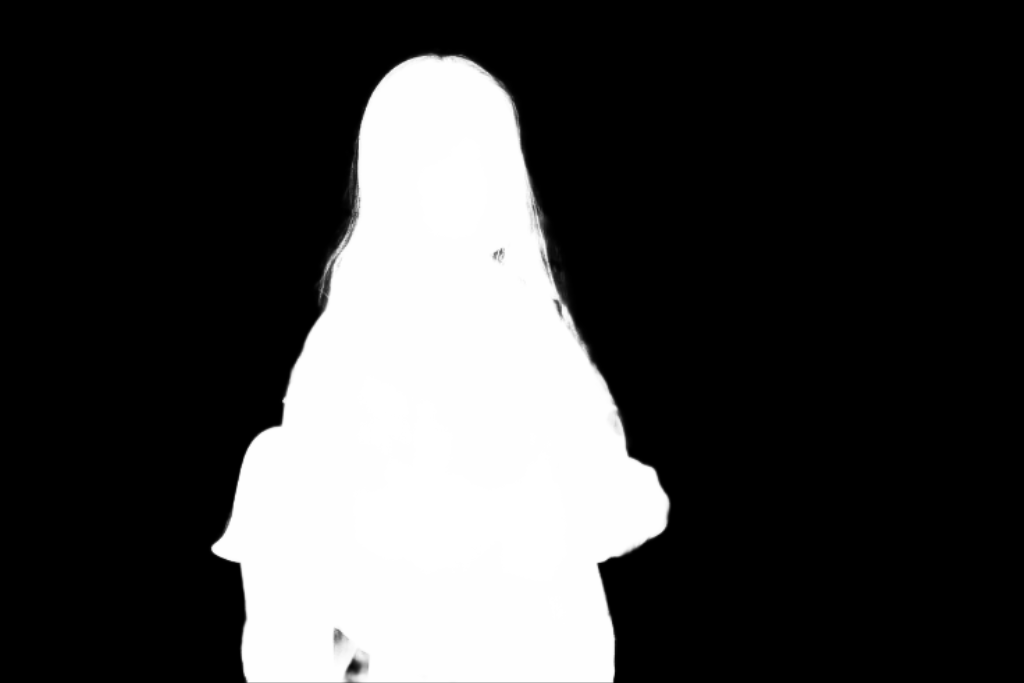 Predicted alpha matte mask indicating foreground region