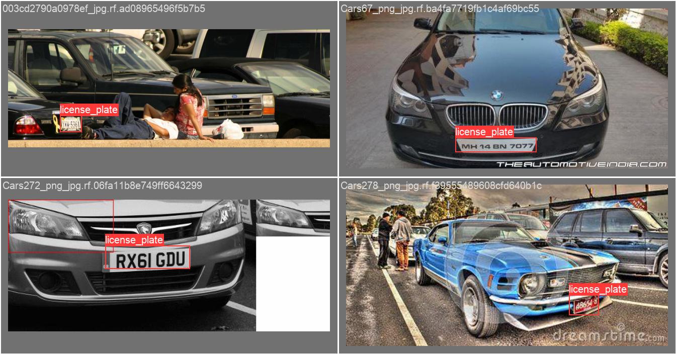 Example detection results for license plate model
